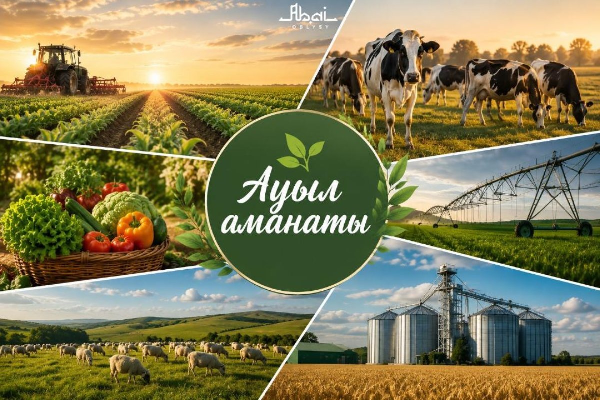 В Туркестанской области за 3 года благодаря проекту «Ауыл аманаты» создано около 5000 рабочих мест