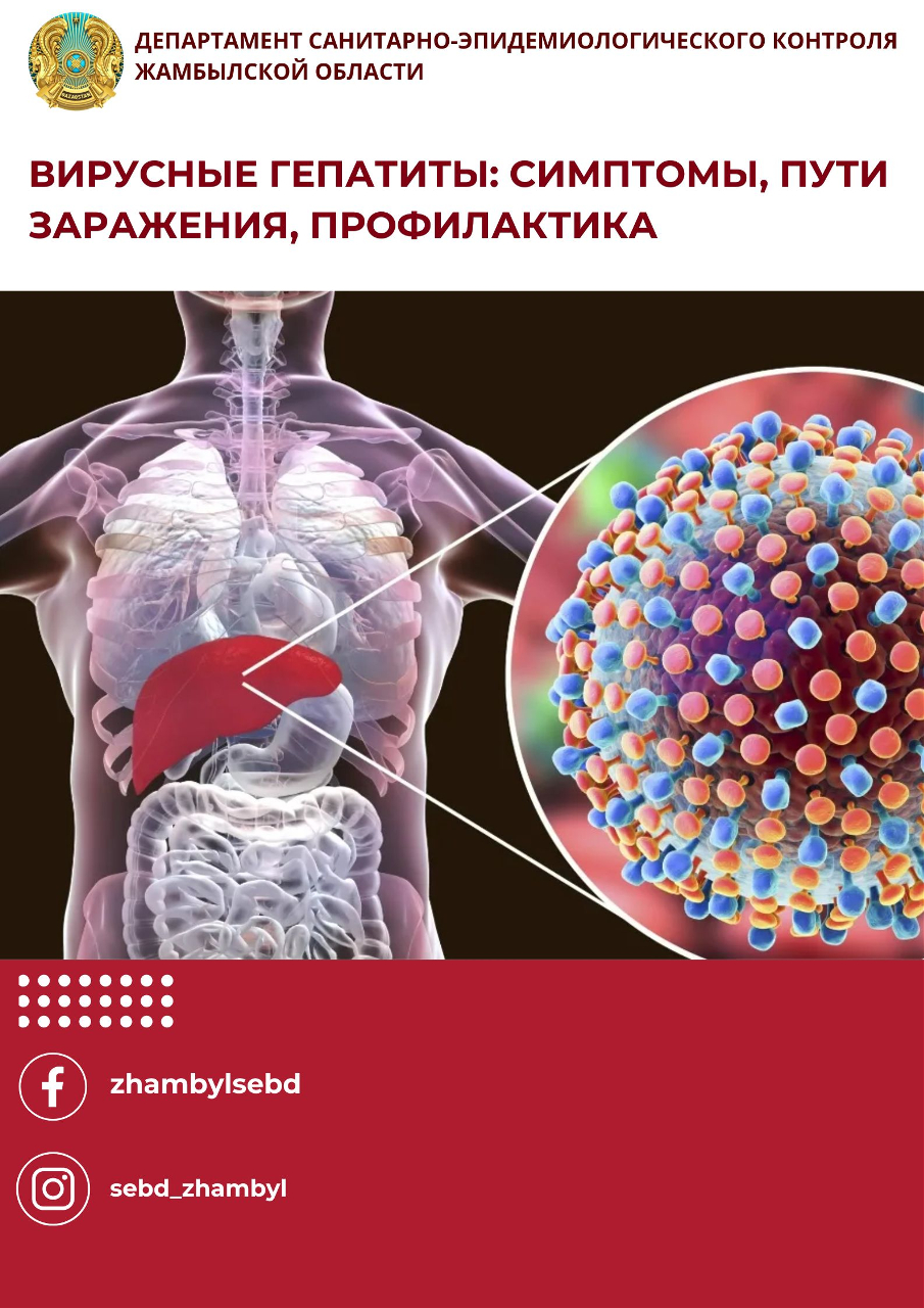 Вирусные гепатиты: симптомы, пути заражения, профилактика