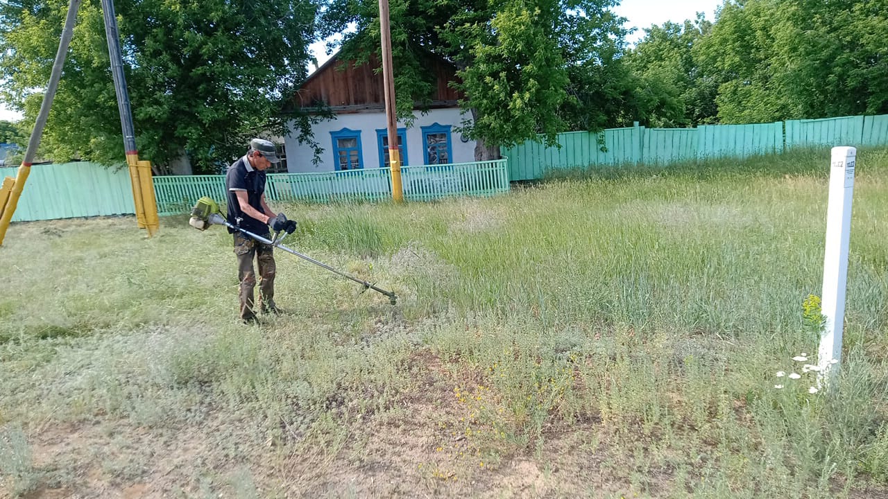 Покос травы