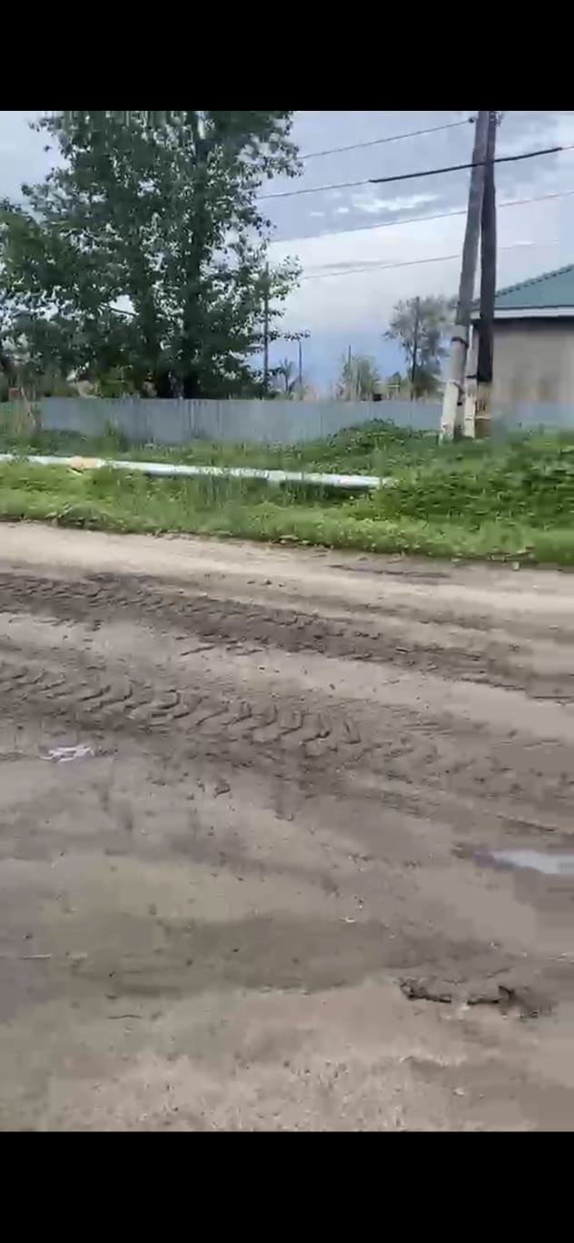 Таза Қазақстан
