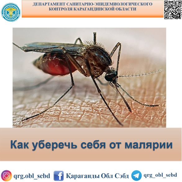 Как уберечь себя от малярии