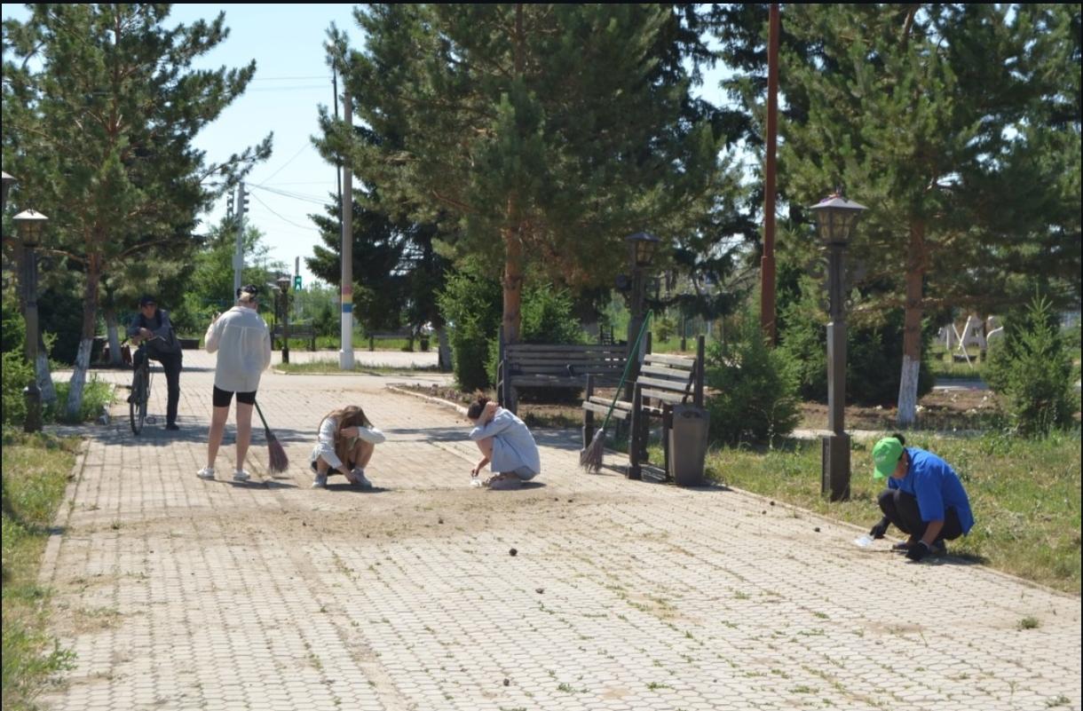 “Жасыл ел”