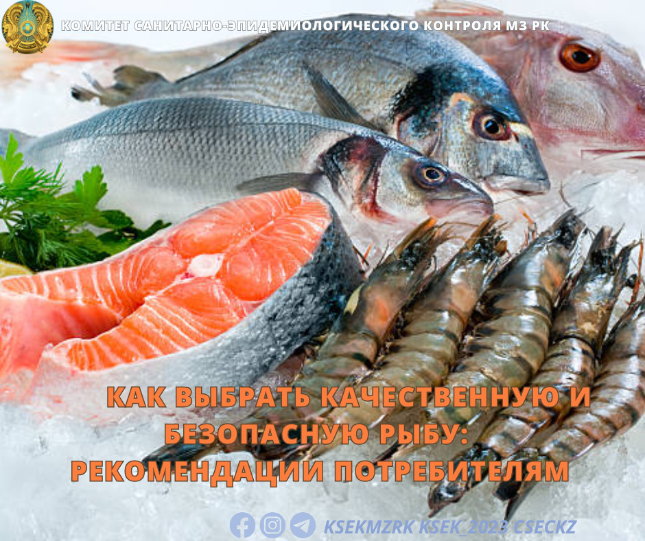 Как выбрать качественную и безопасную рыбу: рекомендации потребителям