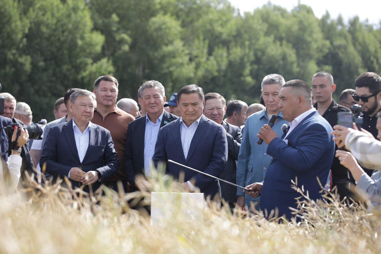 Ход уборочной кампании в ТОО «Журавлевка-1»