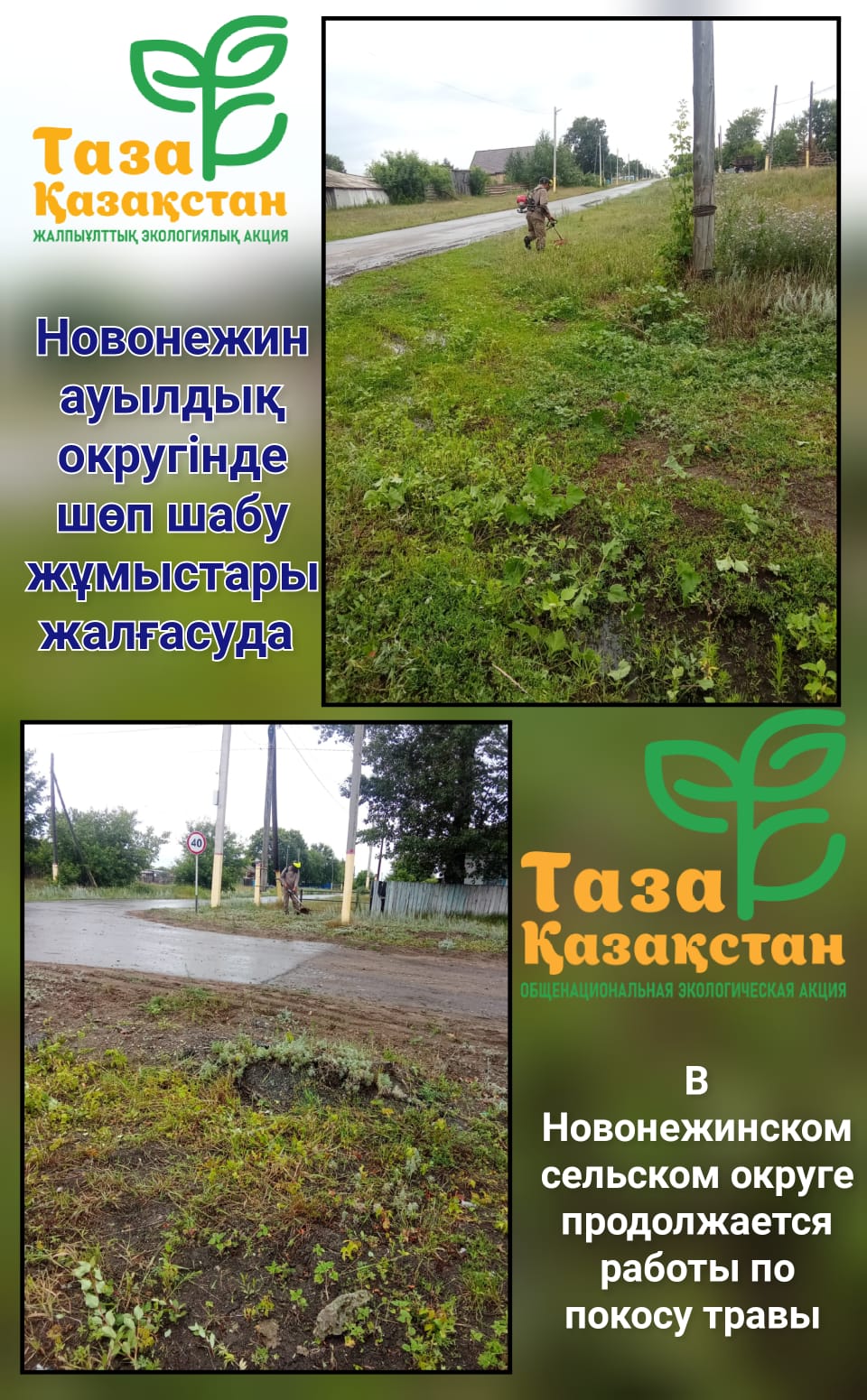 В рамках экологической программы «Таза Қазақстан» продолжаются работы по покосу сорной растительности на внутрипоселковых улицах.