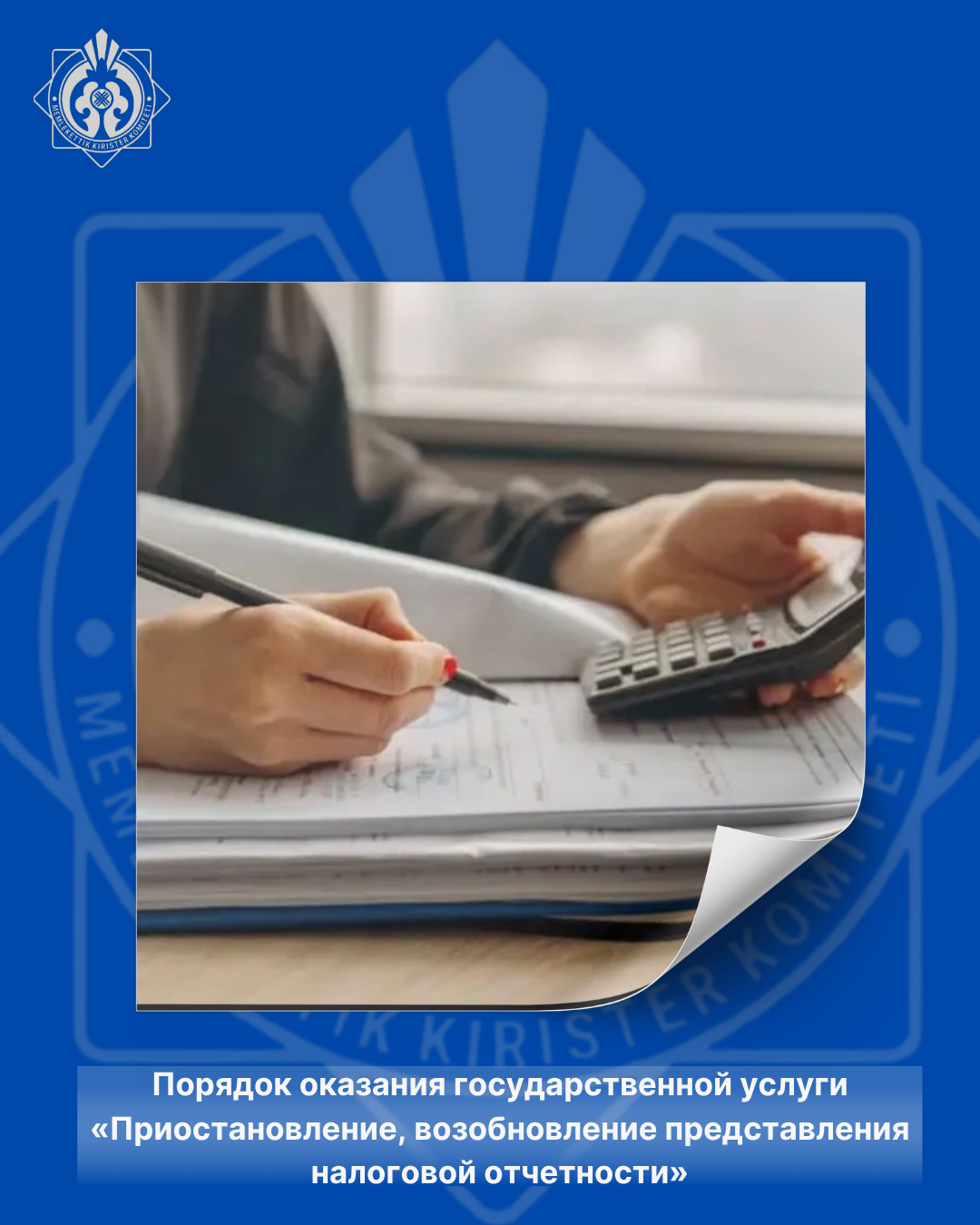 Порядок оказания государственной услуги «Приостановление, возобновление представления налоговой отчетности»