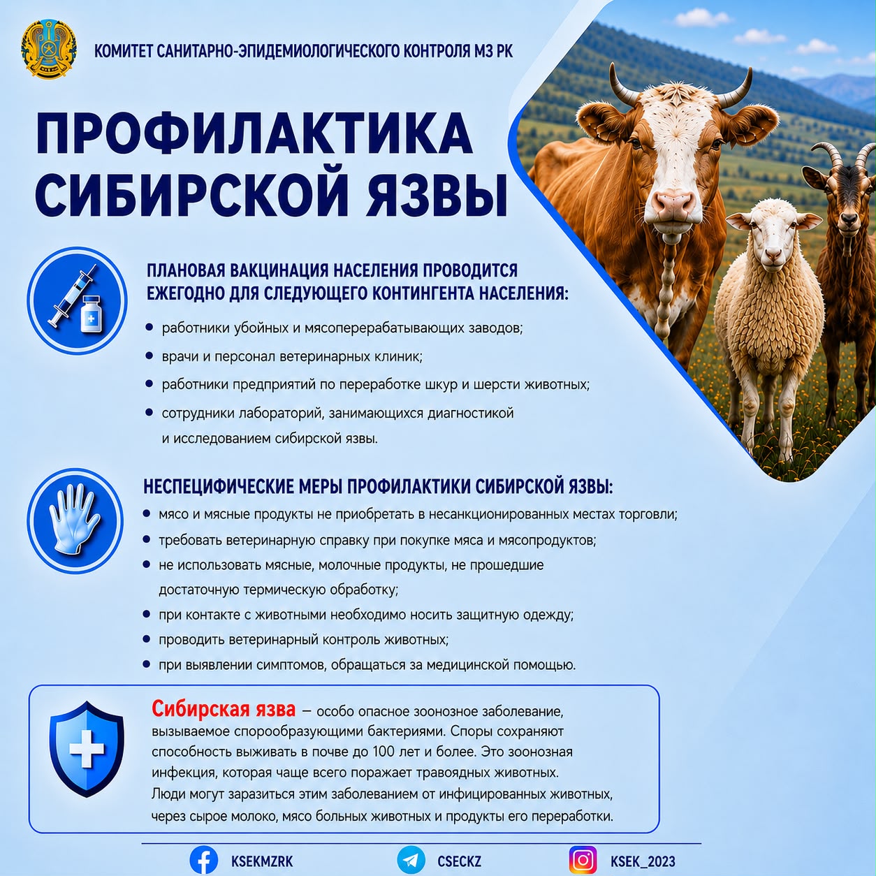 Профилактика сибирской язвы