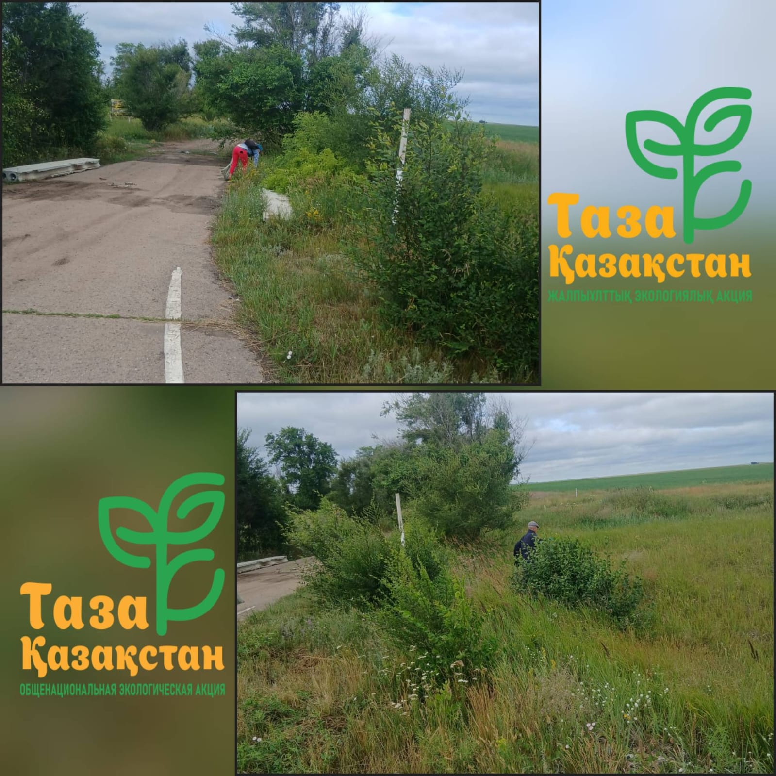 🧹 В рамках программы «Таза Қазақстан» в селе Новонежинка ежедневно проводится санитарная очистка территории от мусора.  Осуществляется уборка вдоль республиканской трассы и на внутрипоселковых улицах, проводятся работы по поддержанию чистоты и улучшению санитарного состояния населённого пункта.