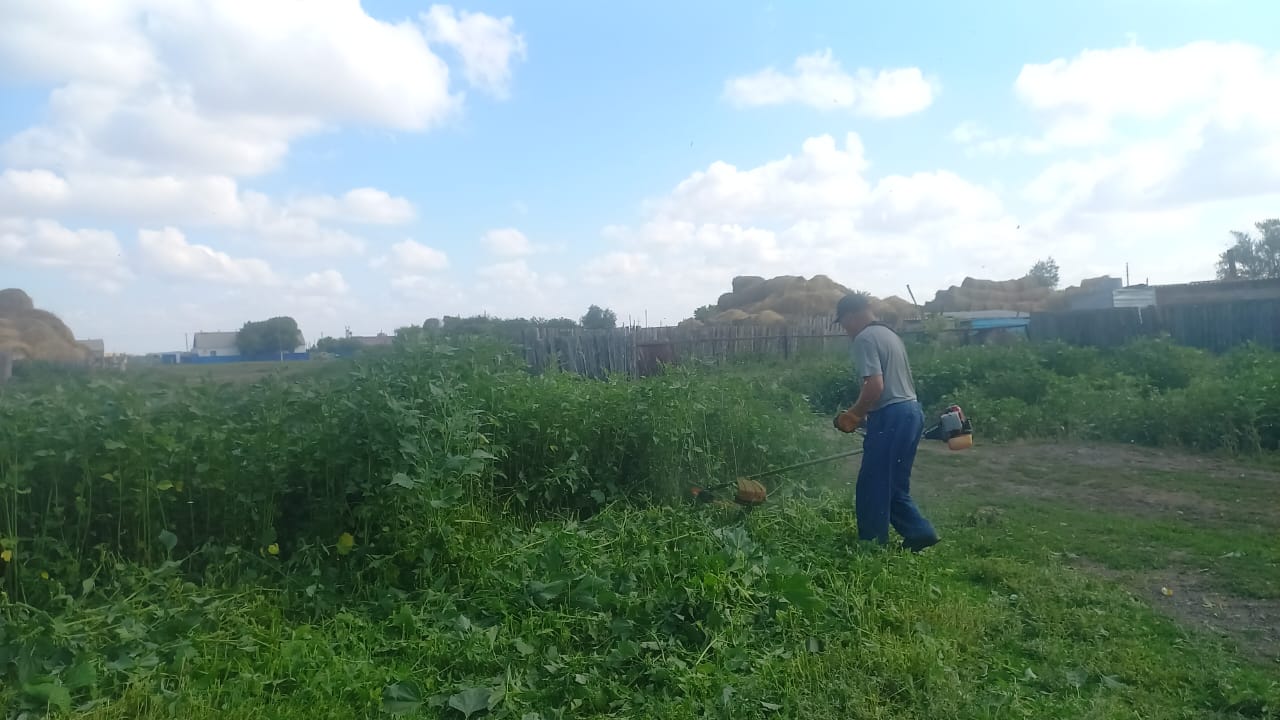 покос растительности