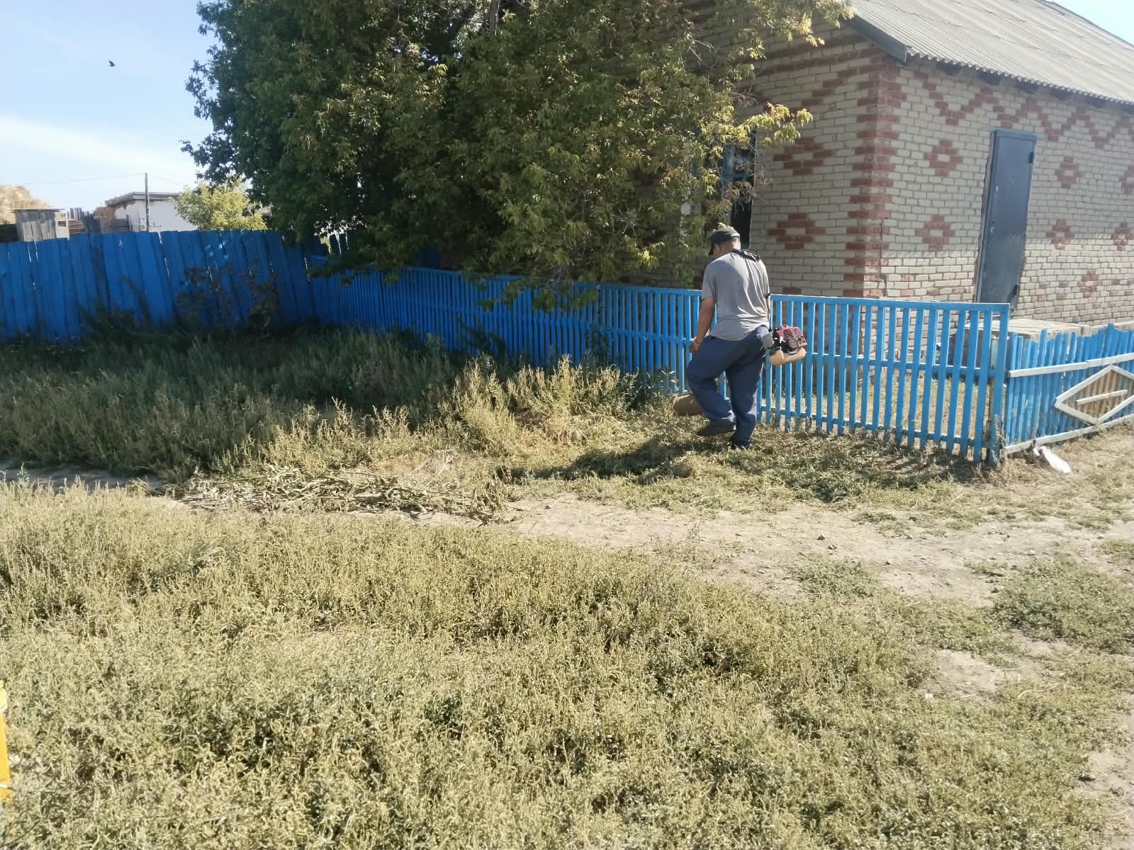 уорка растения