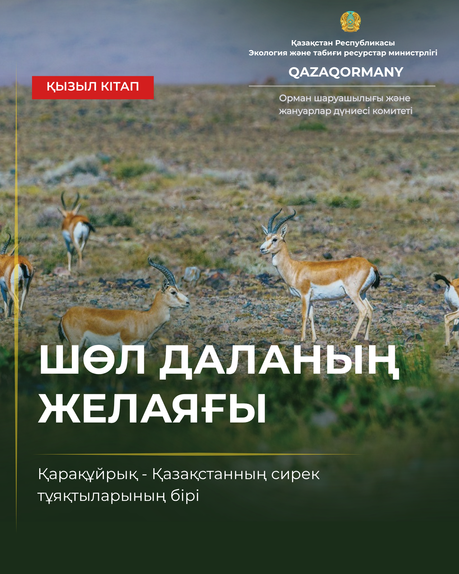 Более 60 км/ч: главное преимущество джейрана — скорость