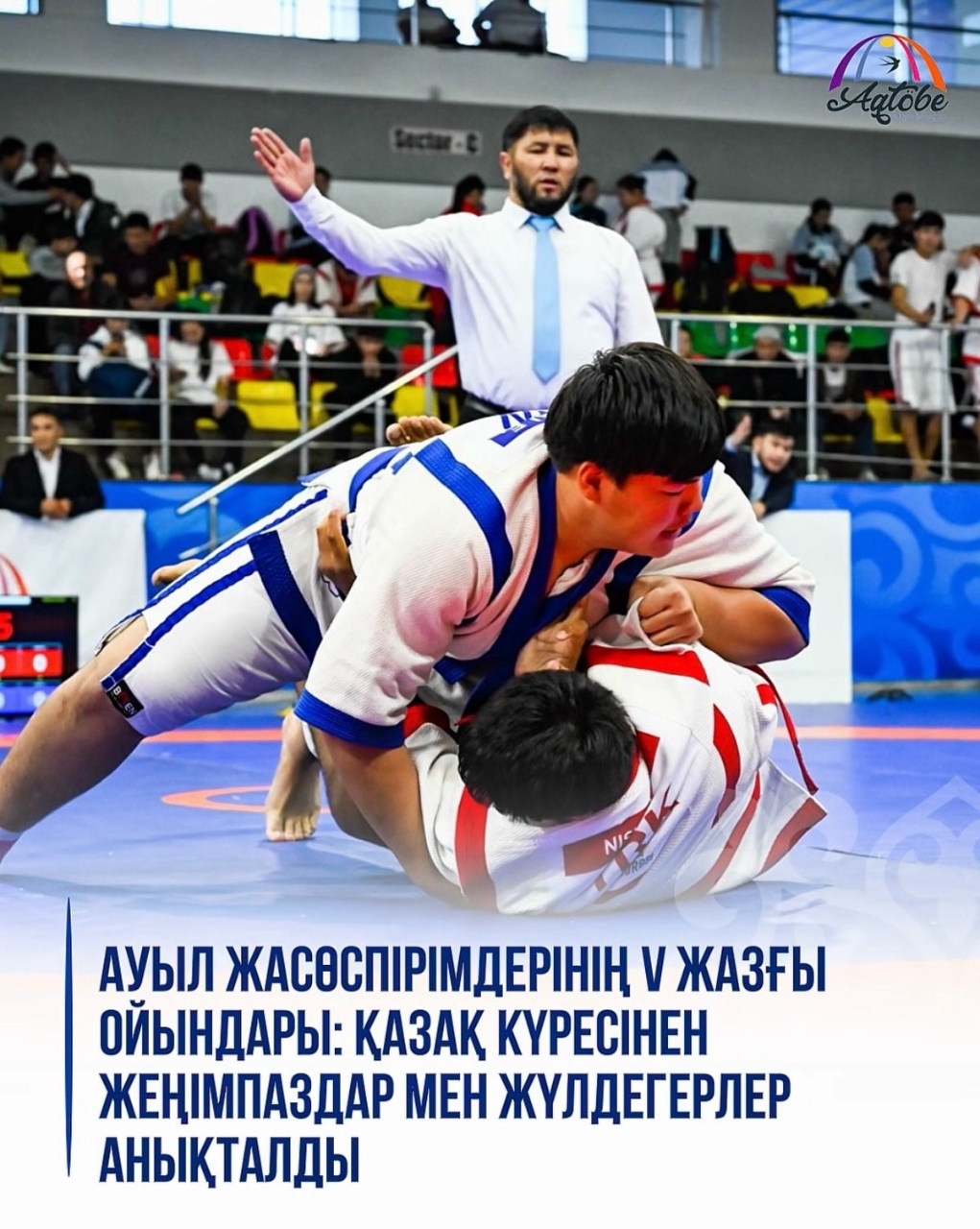 🇰🇿 V летник сельские юношеские игры: определены победители и призеры по қазақ күресі