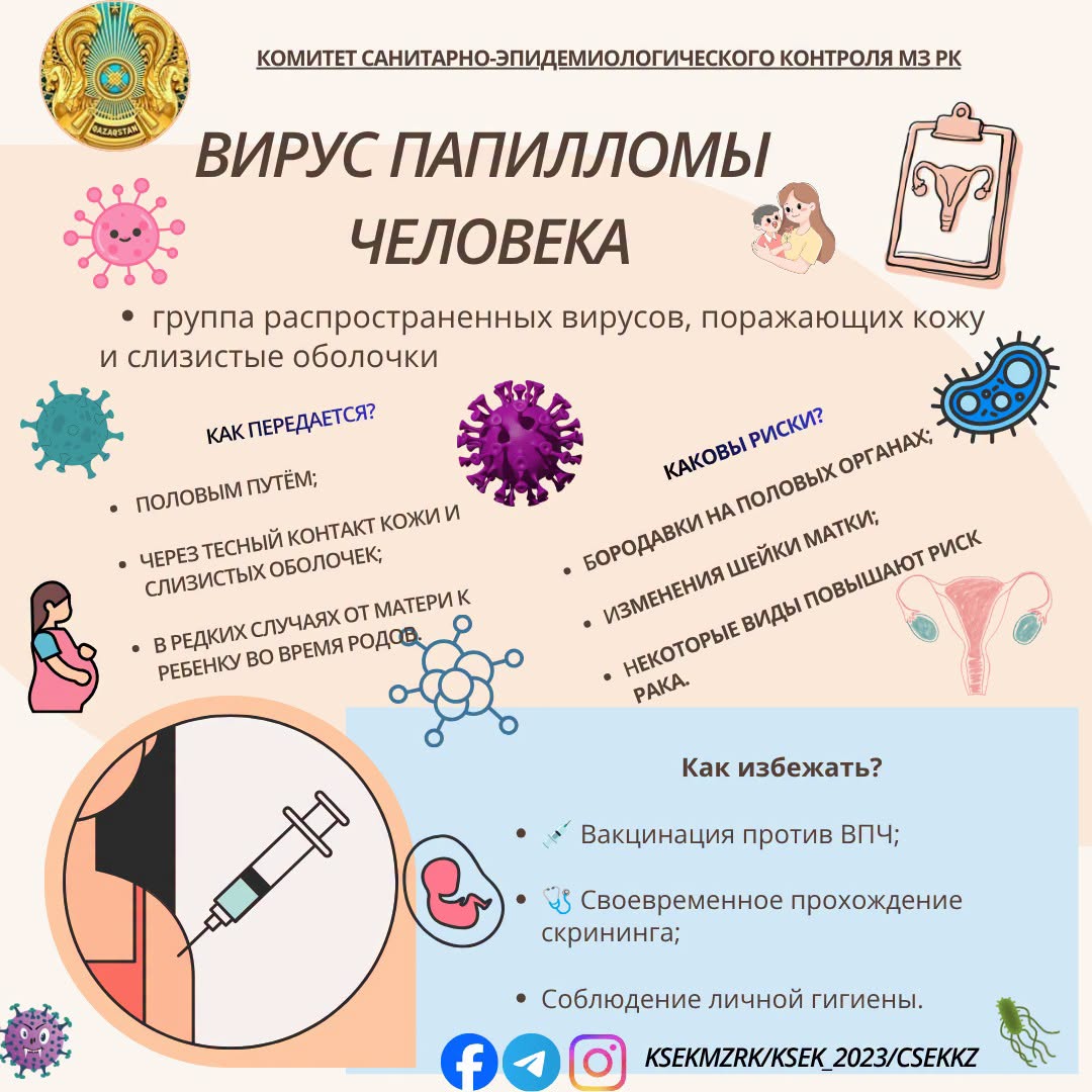 Вирус папилломы человека
