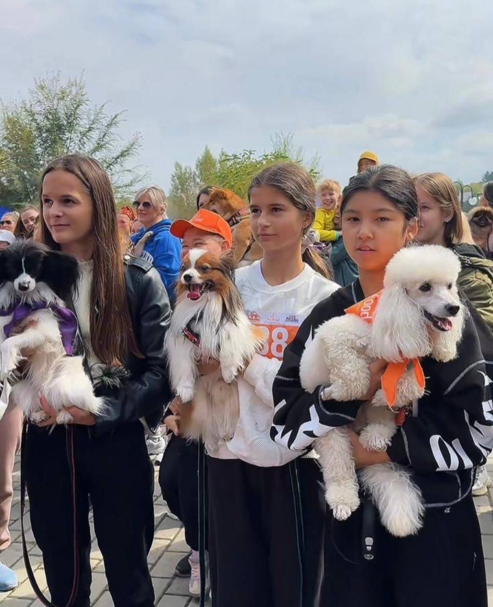 В Усть-Каменогорске пройдет семейный фестиваль PET DOG FEST-2026  для любителей животных