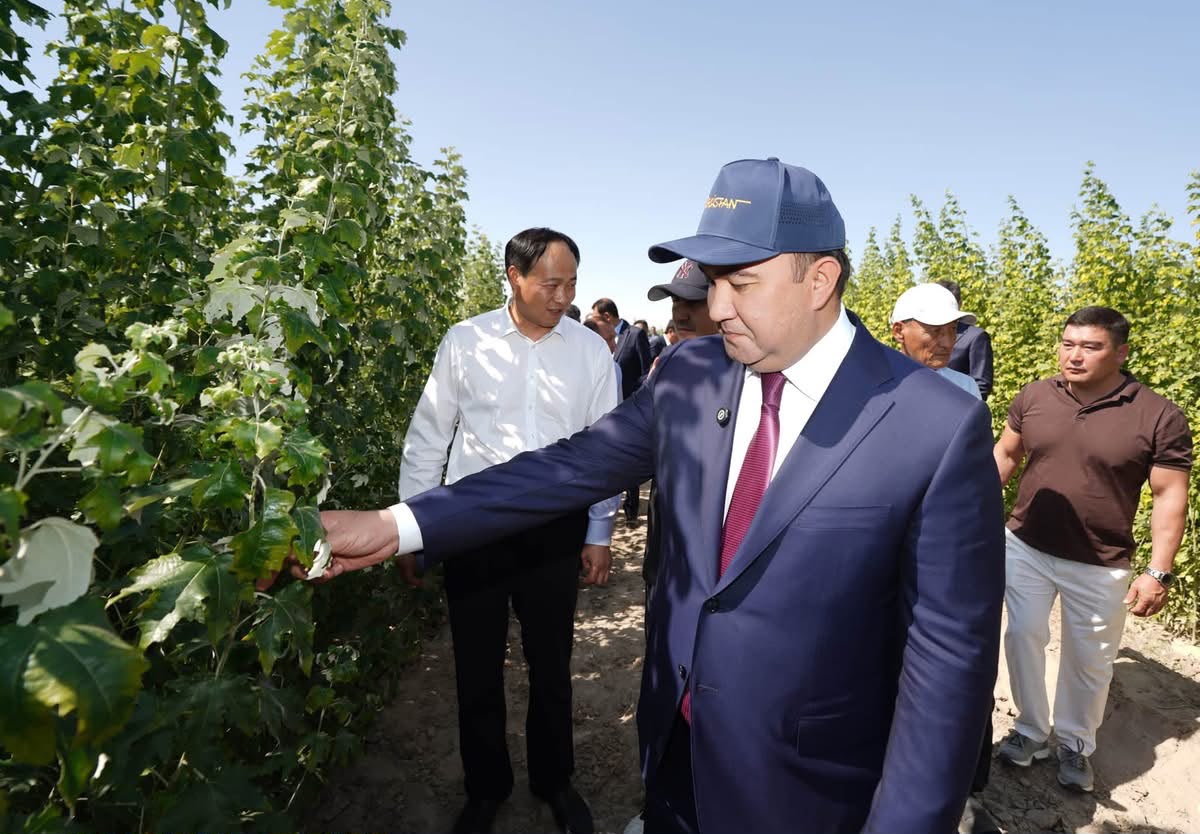 В ТУРКЕСТАНСКОЙ ОБЛАСТИ БЛАГОДАРЯ НОВОМУ МЕТОДУ ПРИЖИВАЕМОСТЬ САЖЕНЦЕВ НА ЗАСОЛЕННЫХ ПОЧВАХ ДОСТИГЛА 90%