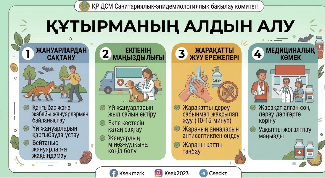 Профилактика бешенства