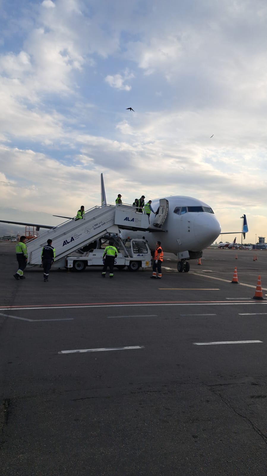 Flydubai запустила грузовые рейсы между Алматы и Дубаем
