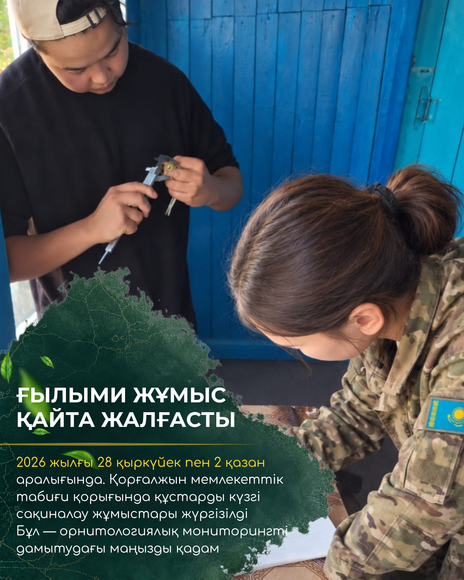 В Коргалжынском заповеднике возобновили кольцевание птиц: 128 особей, 14 видов и удивительная встреча спустя 13 лет!