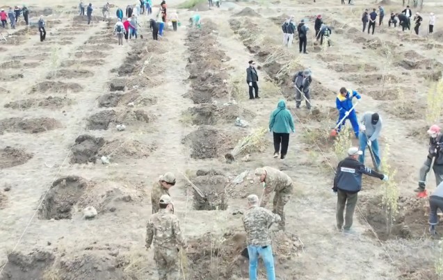 В городском экопарке Абая высадили 600 саженцев деревьев