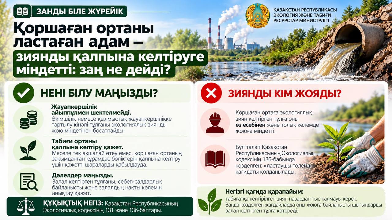 Кто загрязняет — тот и восстанавливает: что говорит закон?