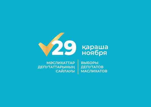 29 ноября – день выборов!