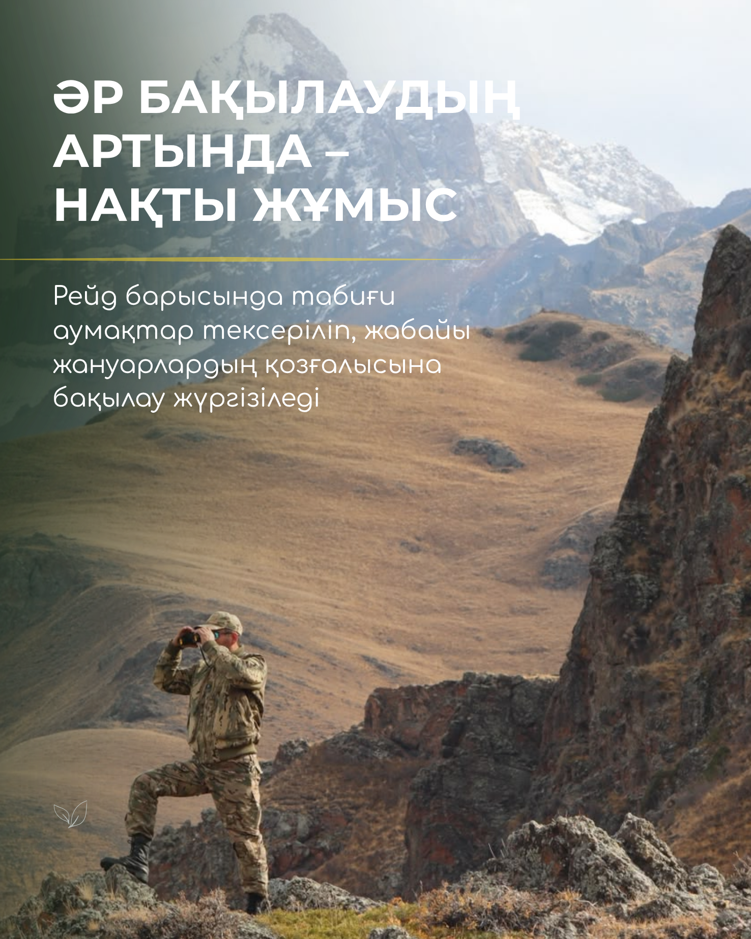 В горах тишина. Но наблюдение не прекращается