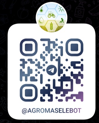 В области Ұлытау запущен Telegram-бот @agromaselebot для приема обращений сельскохозяйственных товаропроизводителей