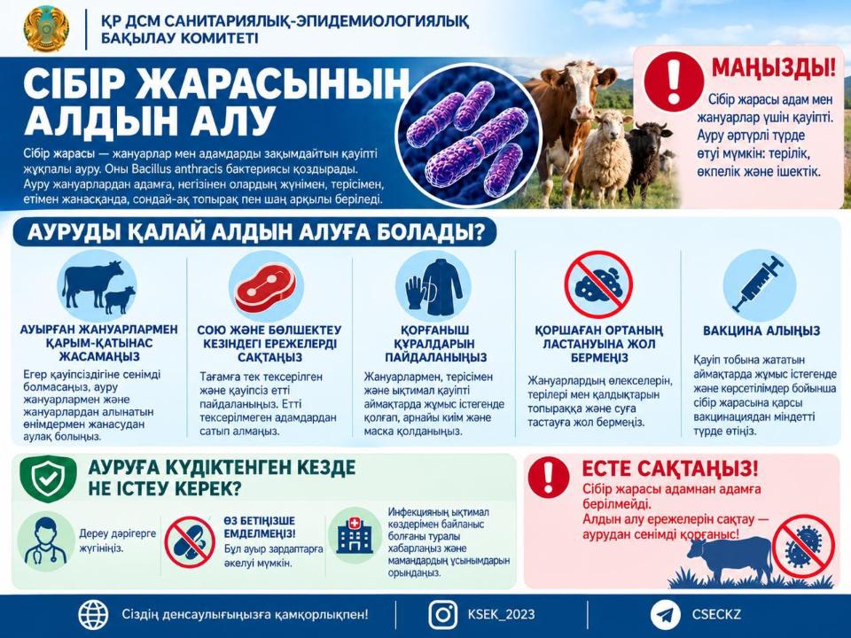 Профилактика сибирской язвы