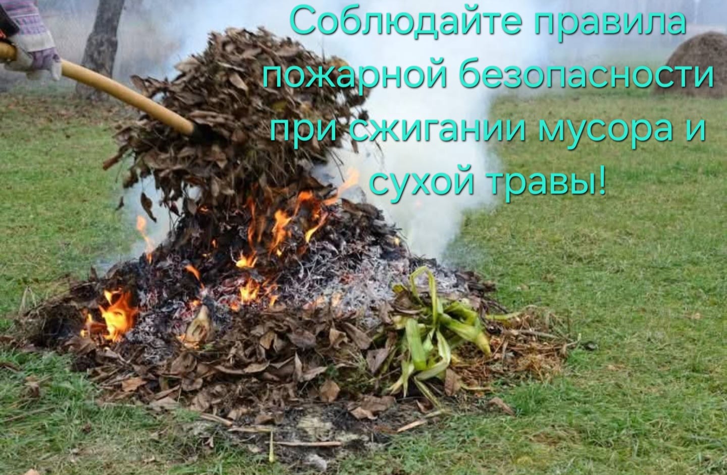 Штраф за сжигание мусора и сухой травы